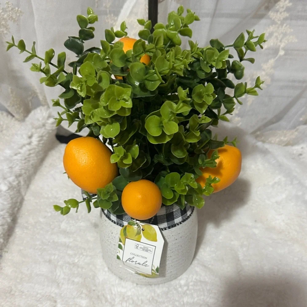 Orange fruit greenery in ceramic pot